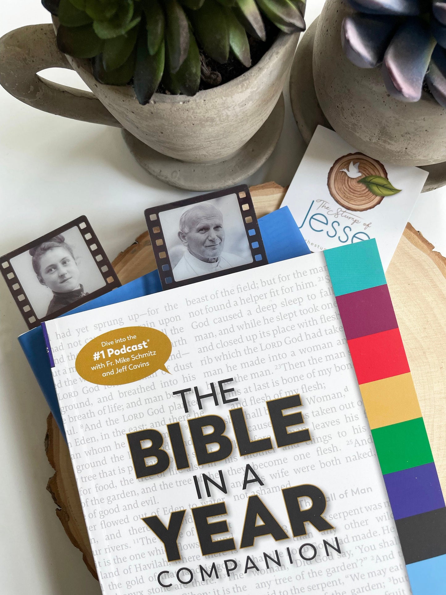 Saints Photo Film Strip Bookmarks Set of 2 | Catholic Bookmarks | Plastic Bookmarks | Catholic gift | Confirmation gift